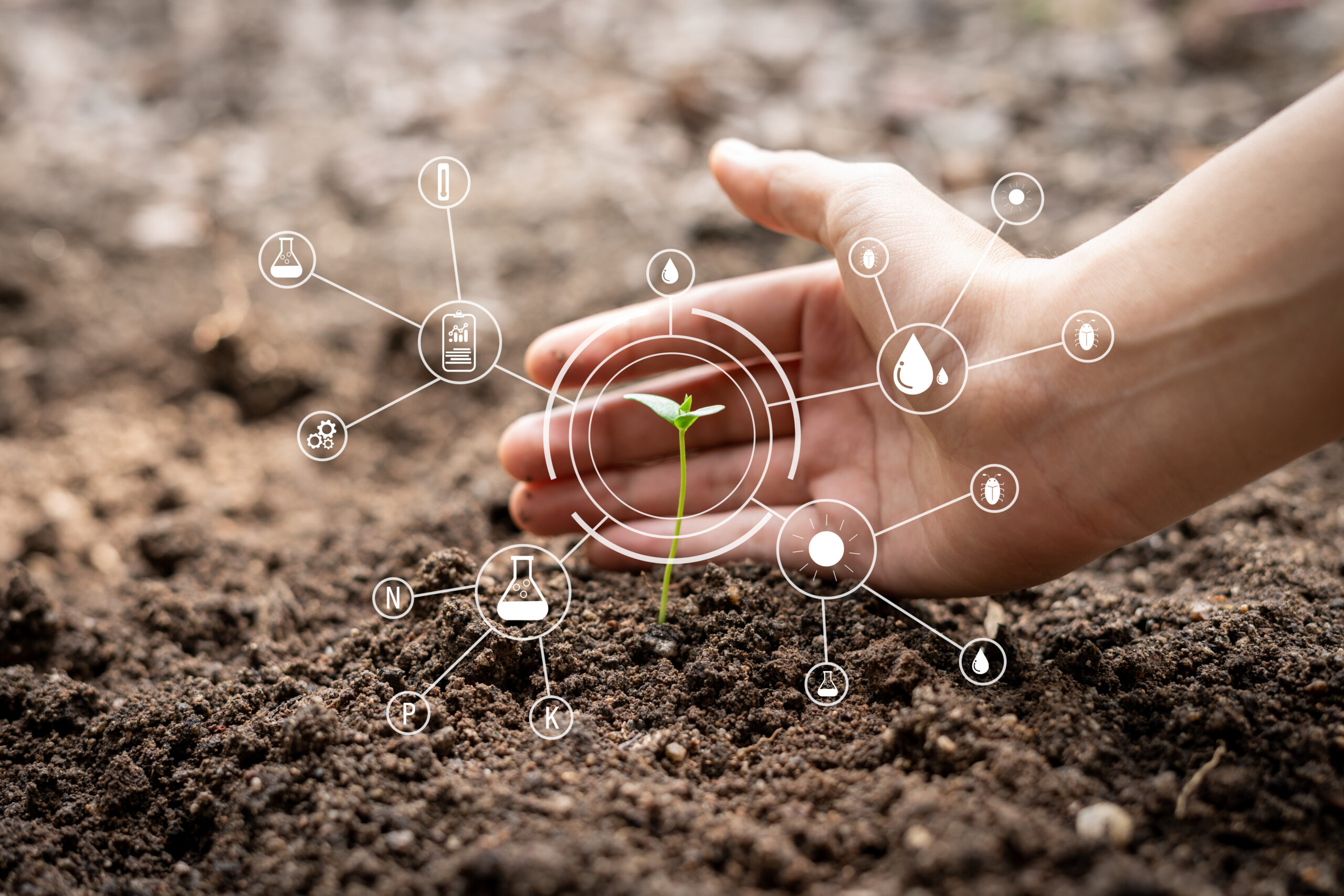 Gardeners' hands are embracing growing seedlings. And have digital mineral icon needed for growth. Agricultural concepts and technology, taking care of growth.