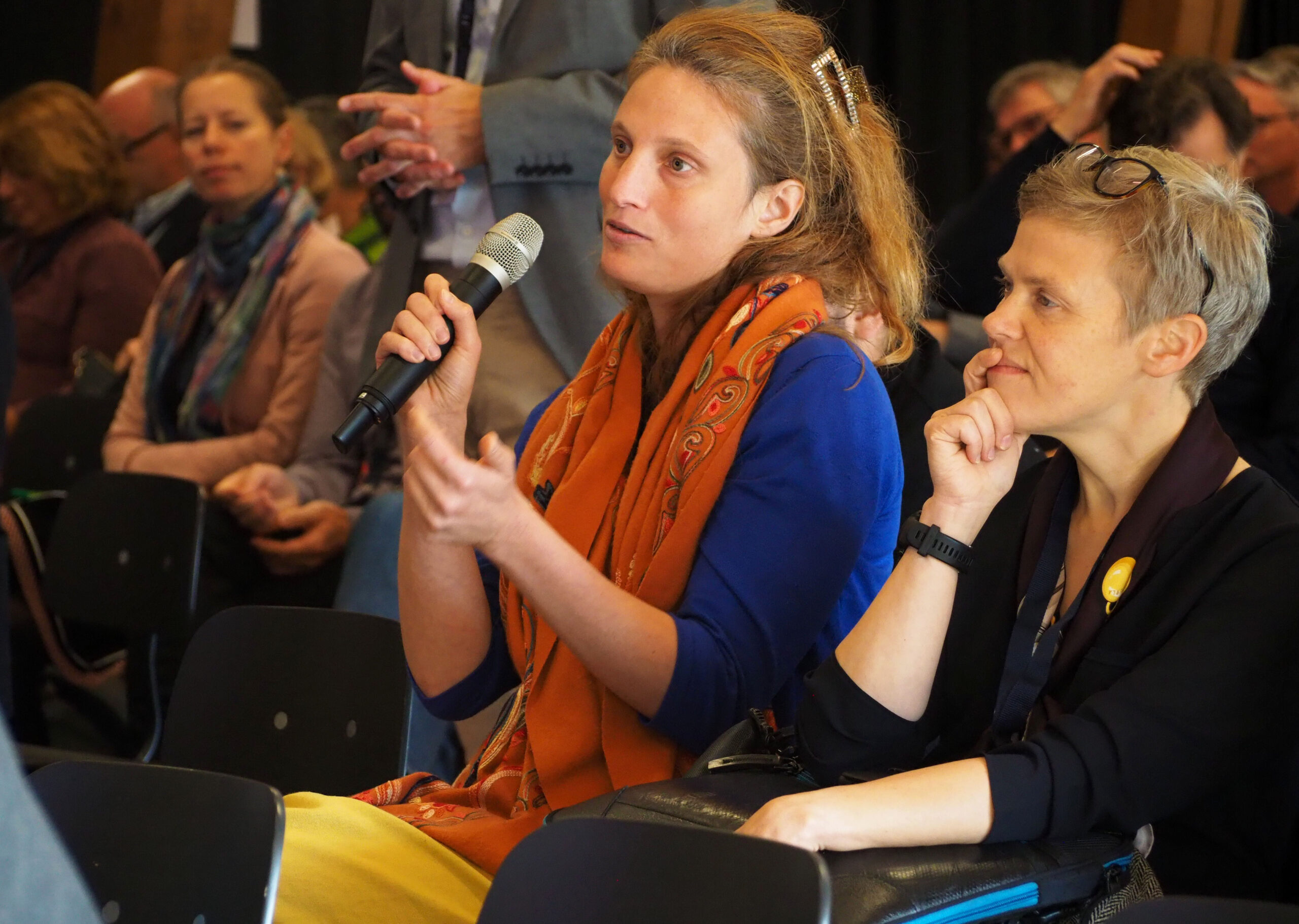 young green wheat and plowed field landscape autumn season